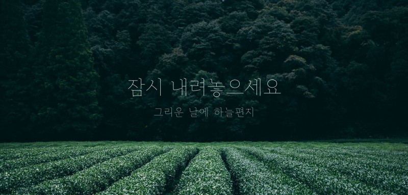 영정사진설명