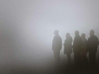 모셔오사진