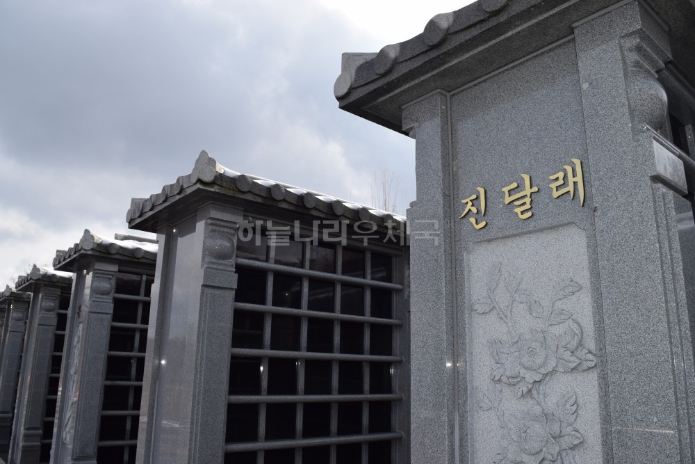 봉안담 진달래