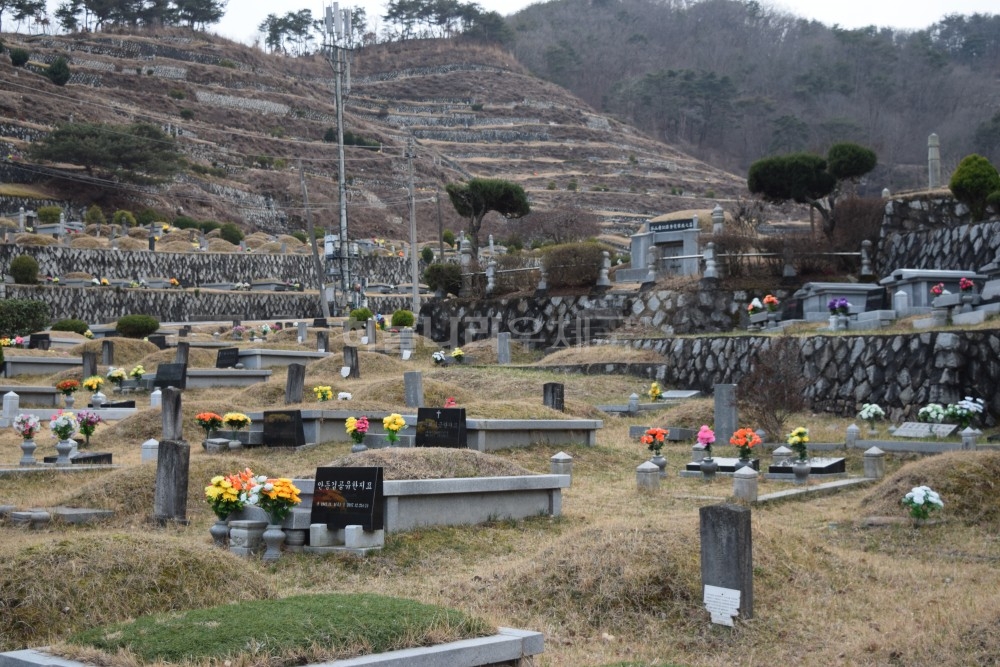 평화공원 매장묘
