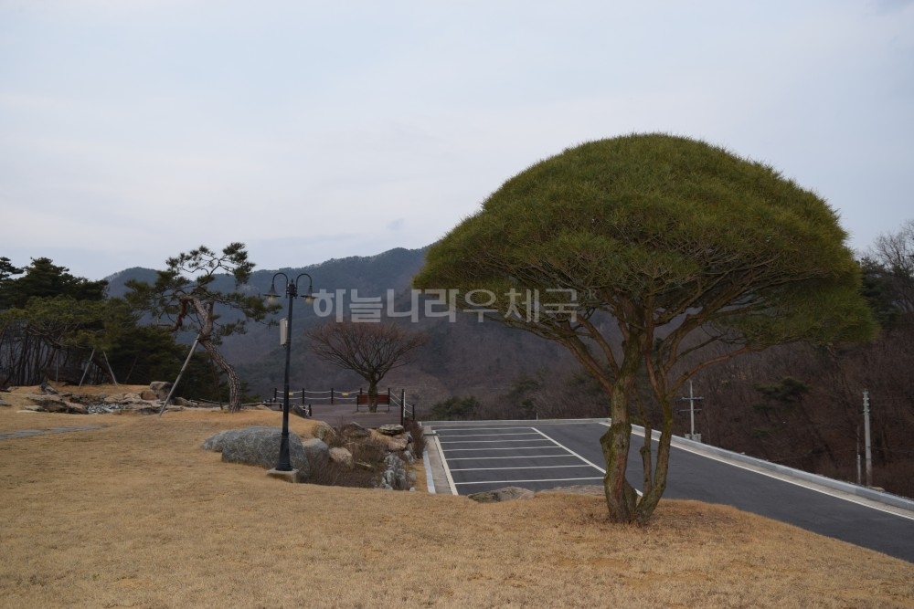 파라다이스 추모관 주차장