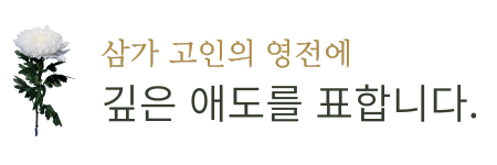무안제주항공 여객기 사고 희생자 영전에 깊은 애도를 표합니다